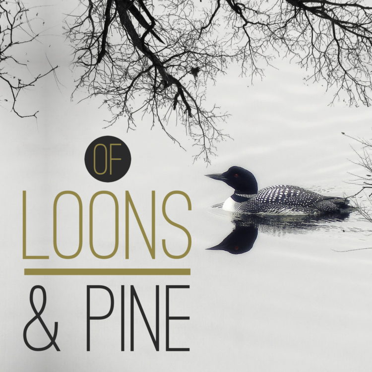 Of Loons & Pine
