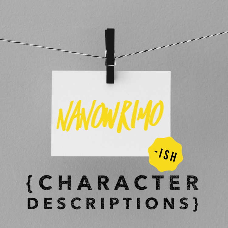 Day 27: NaNoWriMo {Character Descriptions}