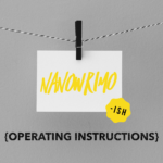Day 29: NaNoWriMo {Operating Instructions}