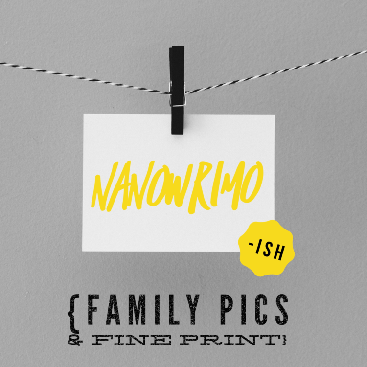 Day 26: NaNoWriMo {Family Pictures & Fine Print}